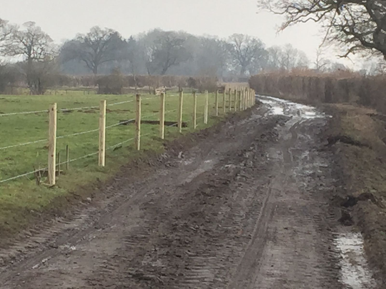 agricultural fencing