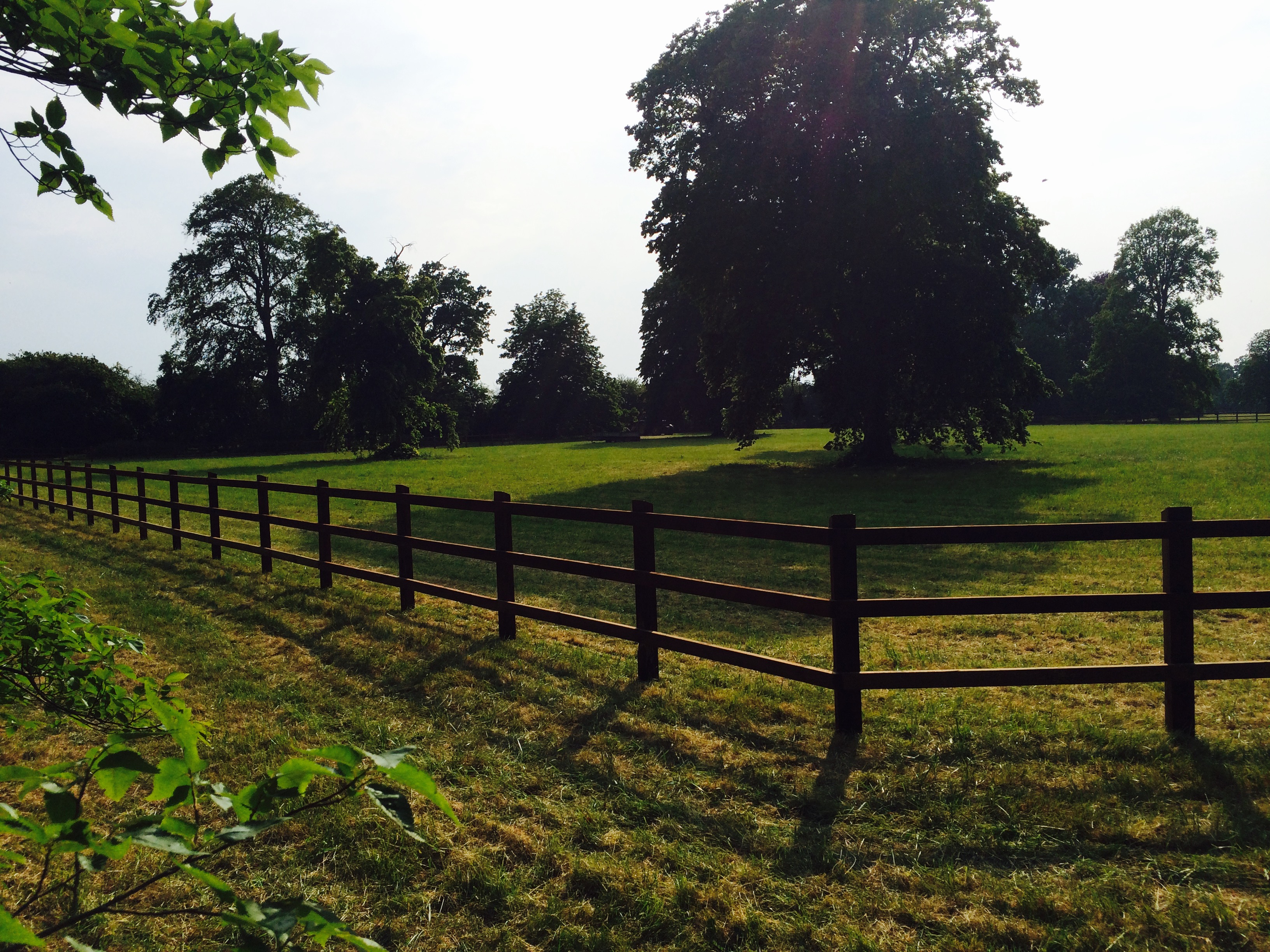 agricultural fencing