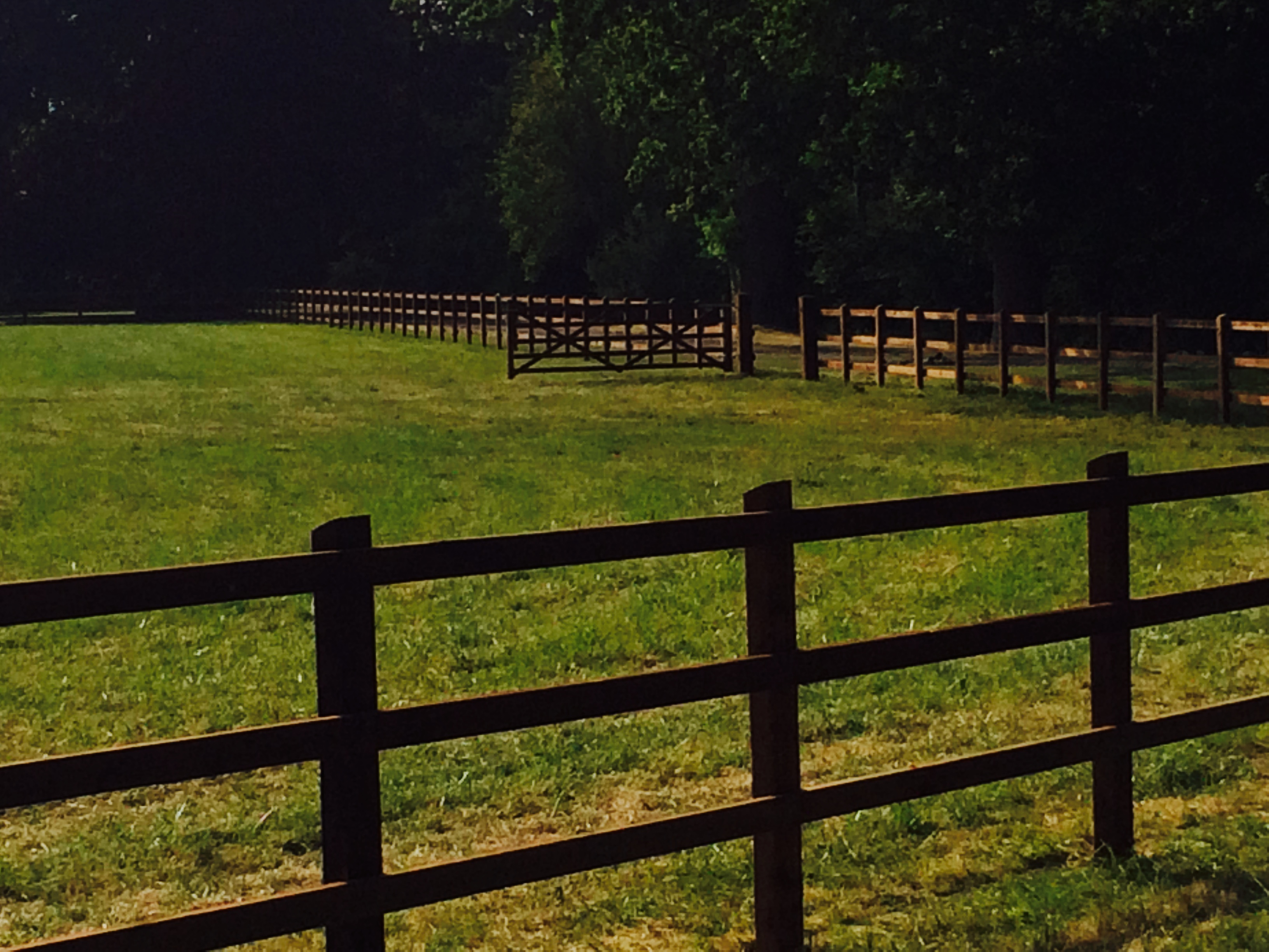 agricultural fencing